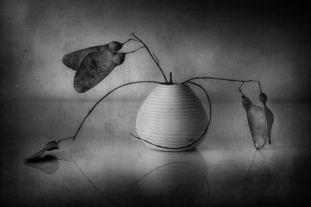Minimalistisches botanisches Stillleben von Elena Arjona