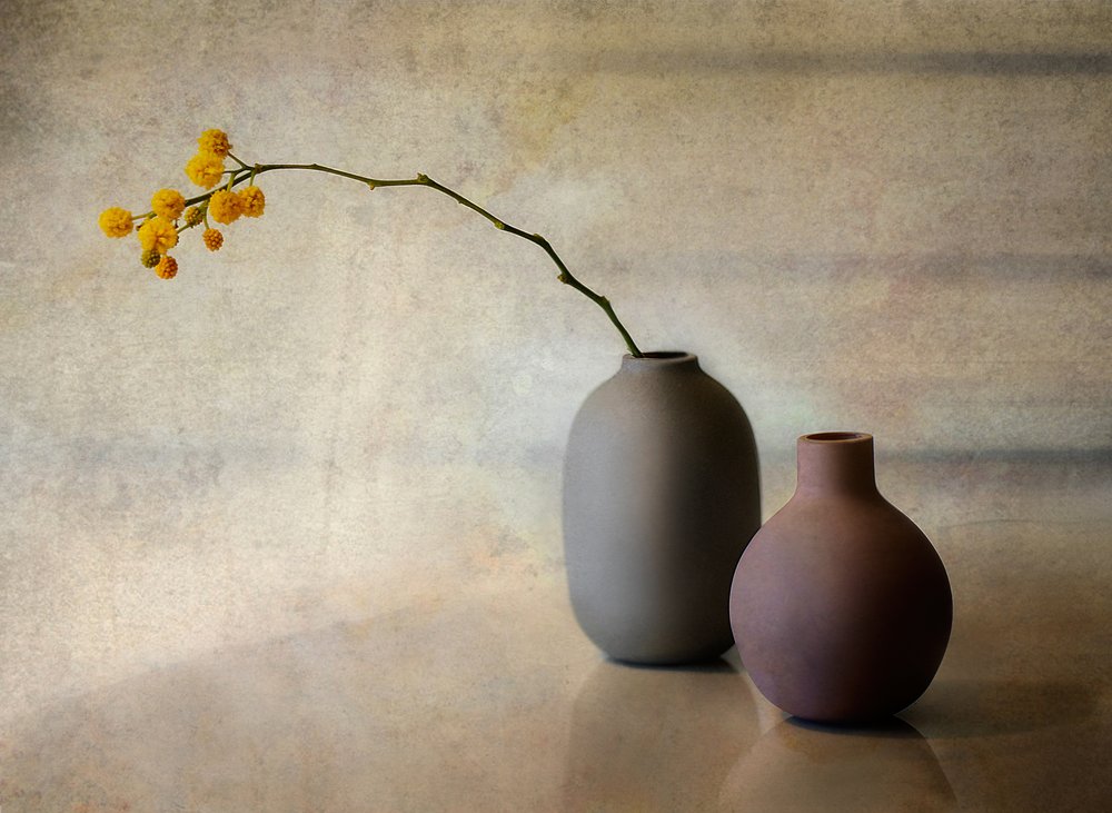Minimalistische Blumenvasen von Elena Arjona