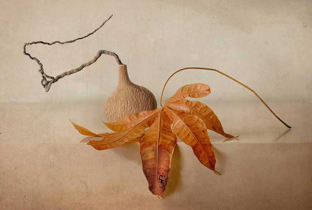 Natürliches Herbst-Stillleben von Elena Arjona