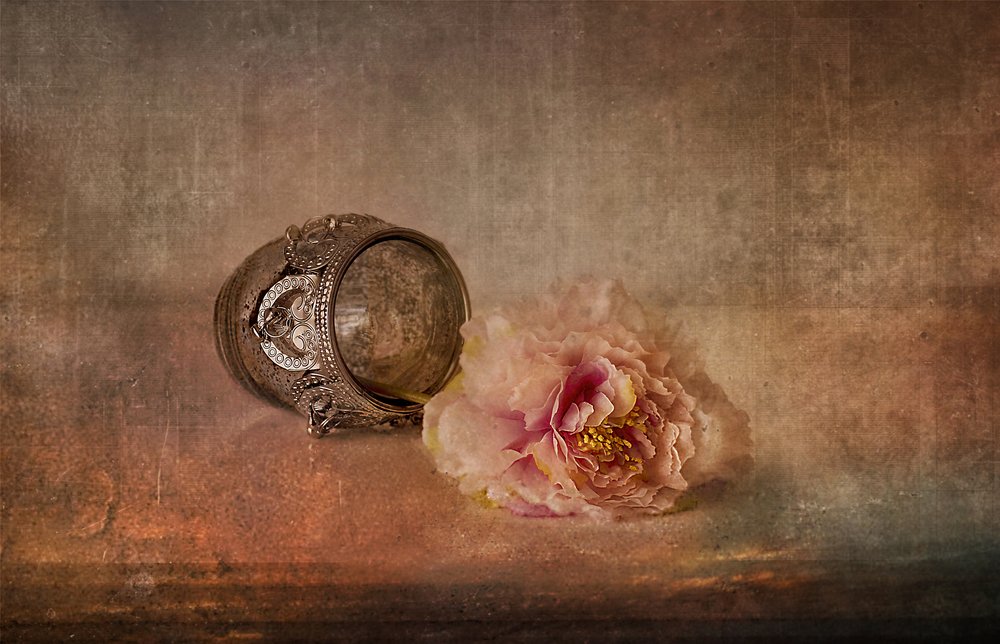 Rosa Pfingstrose und Andenken von Elena Arjona