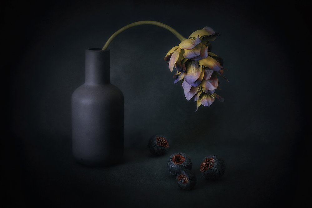 Beschattete Blüte und Beeren von Elena Arjona