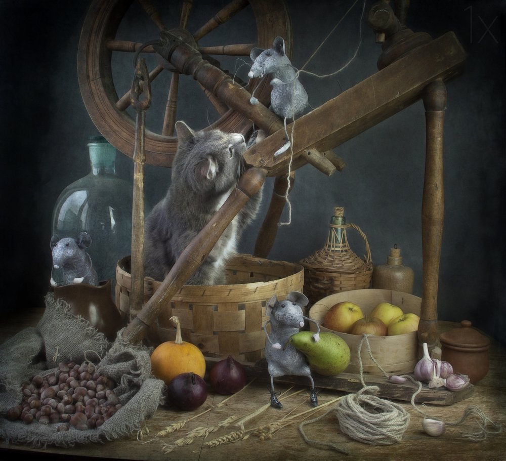 Verspielte Katze und Mäuse von Eleonora Grigorjeva
