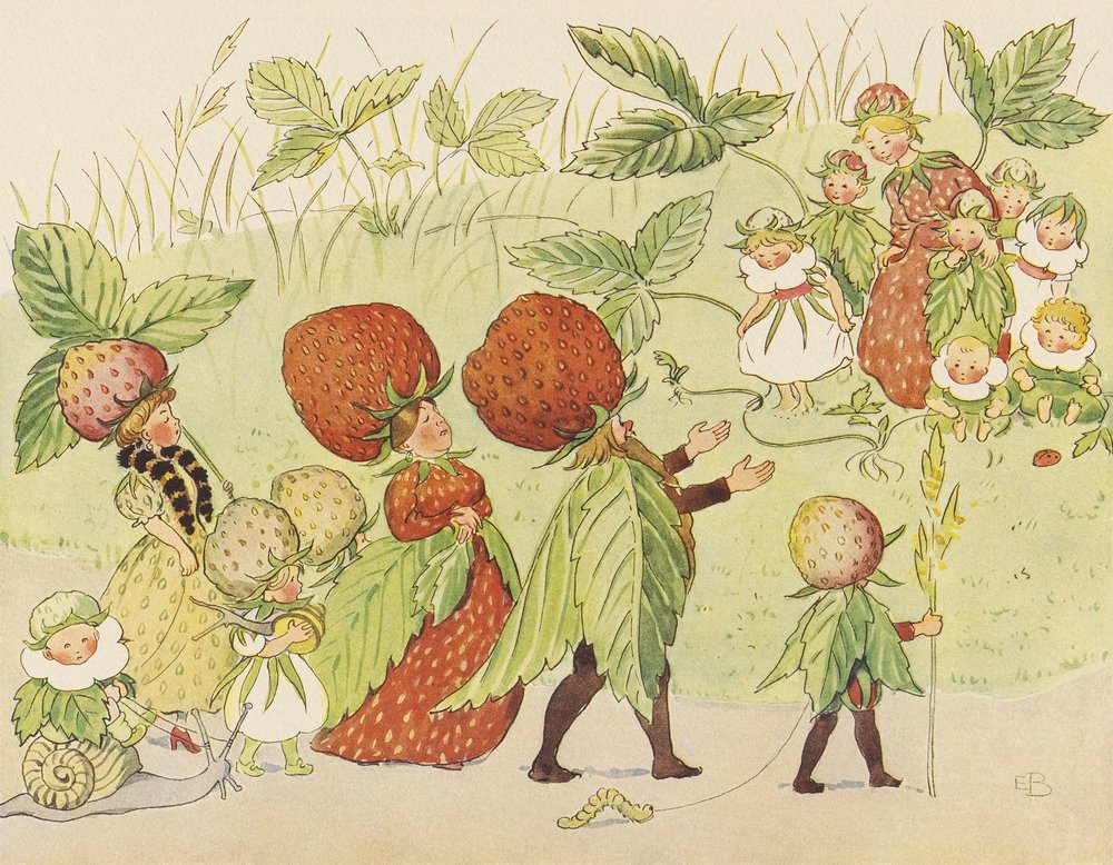 Lasse Liten im Garten - Erdbeerfamilie von Elsa Beskow