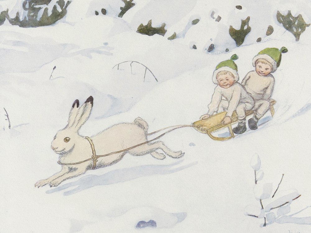 Der Schneehase von Elsa Beskow