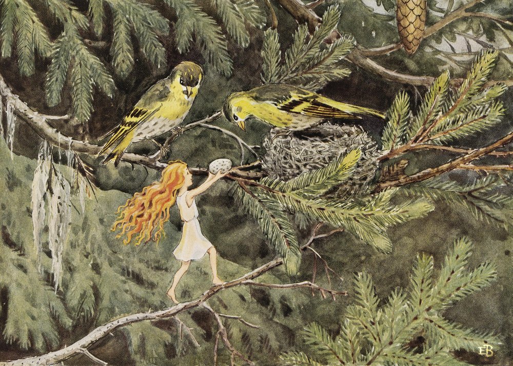 Solägget (1932) Die Vögel von Elsa Beskow