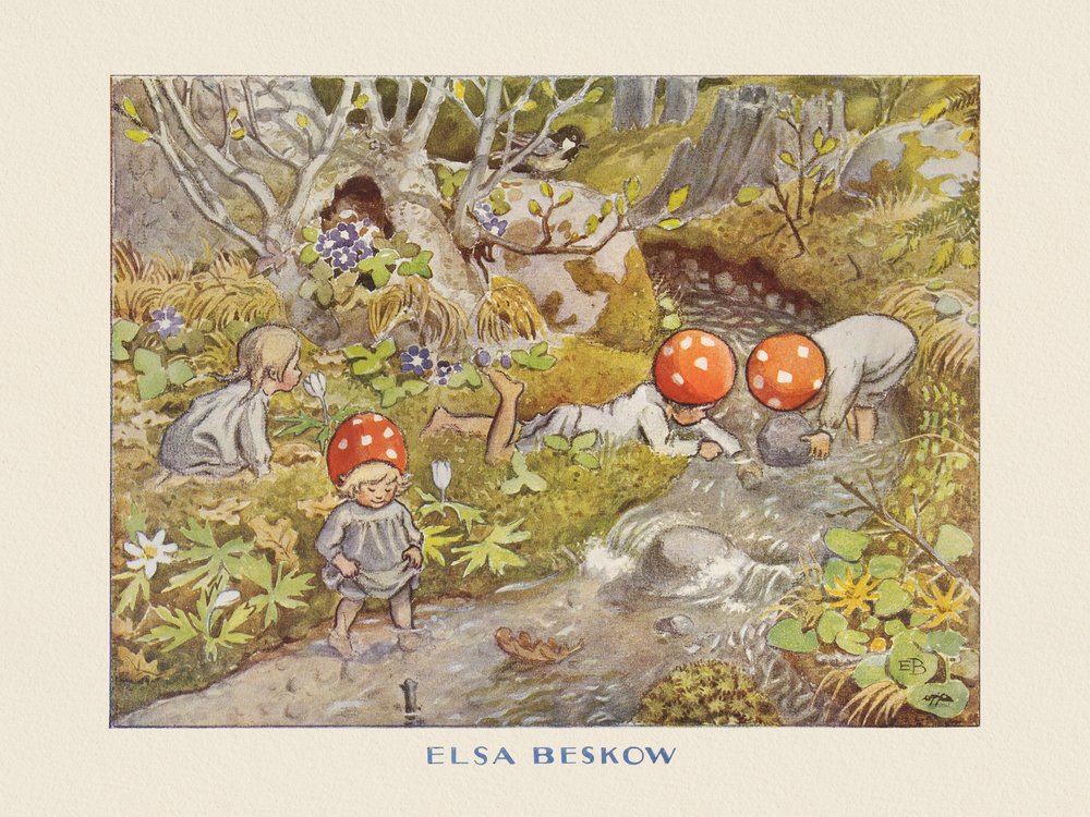 Tomtebobarnen Bach von Elsa Beskow
