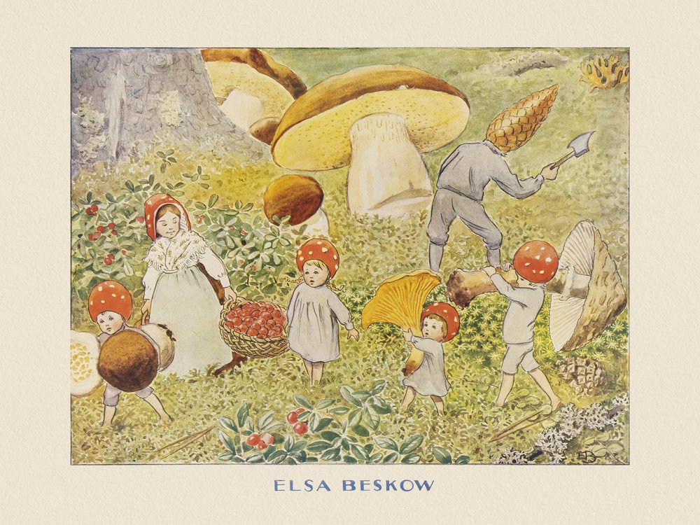 Tomtebobarnen Pilzkinder von Elsa Beskow