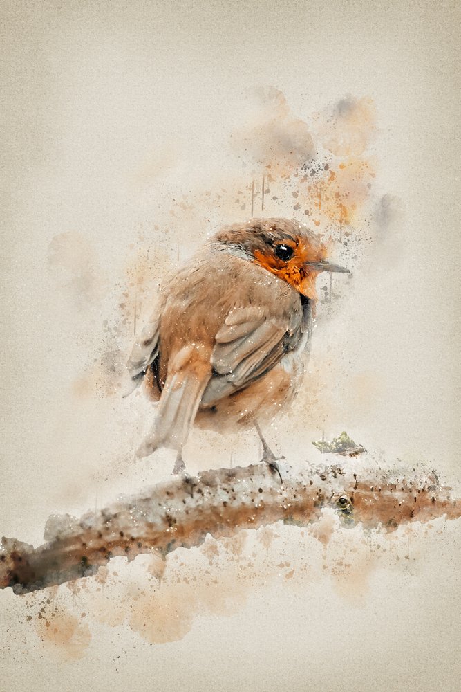 Sanftes Aquarell-Rotkehlchen von Ema Paraschiv