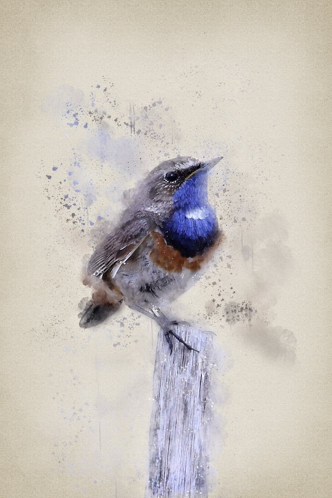 Serenes Aquarell-Blaurücken von Ema Paraschiv