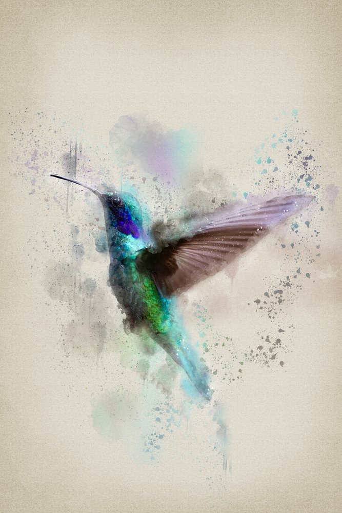 Lebendiges Aquarell-Kolibri von Ema Paraschiv