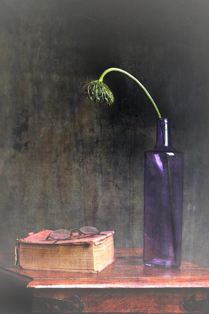 Verwelkte Blüte und Buch von Eyal Amer