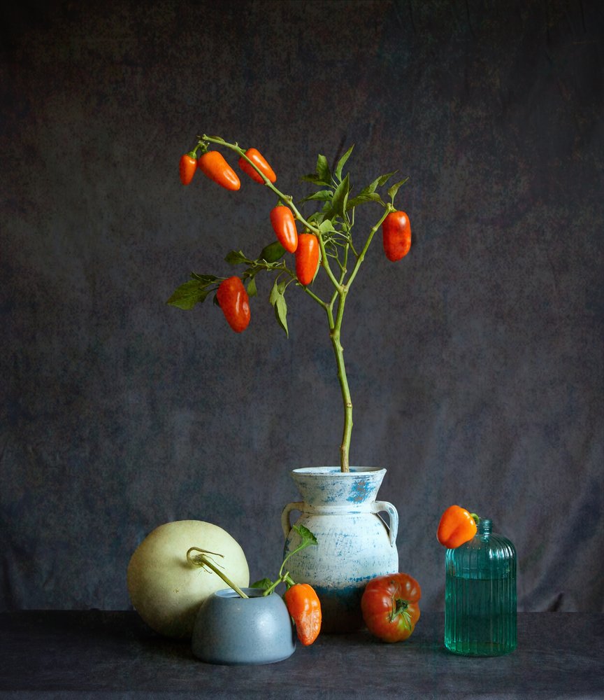 Orange Tomaten rustikales Stillleben von Fangping Zhou