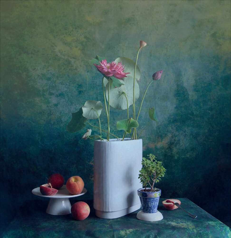 Serenes Lotus-Stillleben von Fangping Zhou
