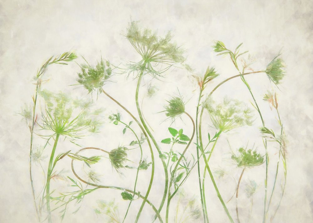 Weiche grüne Botanicals von Fangping Zhou