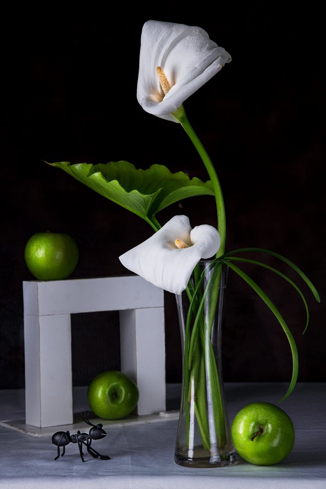 Calla-Lilien Grüne Äpfel von Felice Angelino