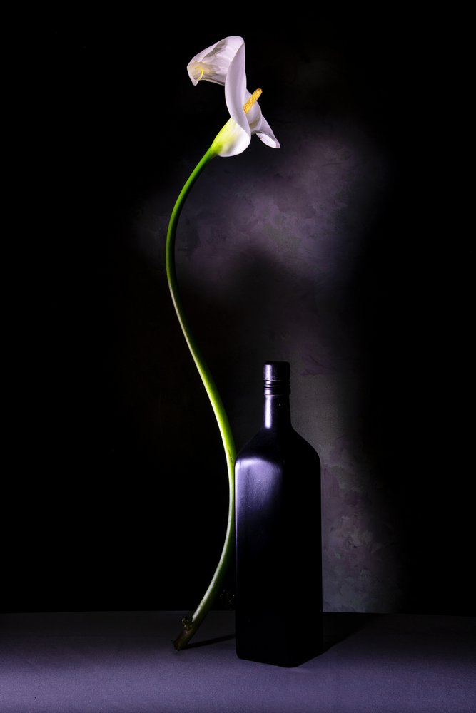 Elegantes Calla-Lilien Stillleben von Felice Angelino