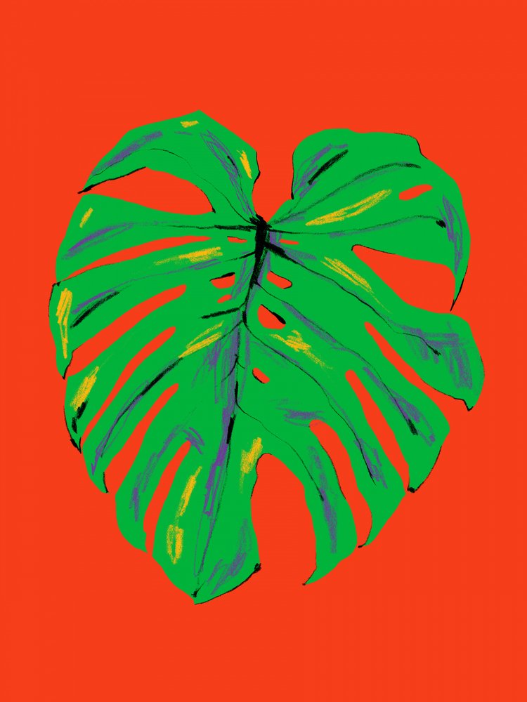 Lebhaftes Monstera-Blatt von Francesco Gulina