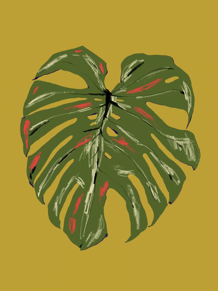 Lebhaftes Monstera-Blatt von Francesco Gulina