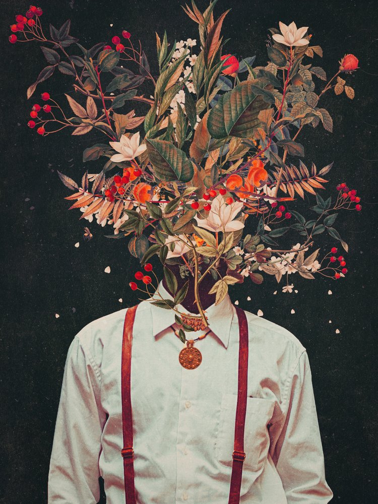 Laub von Frank Moth
