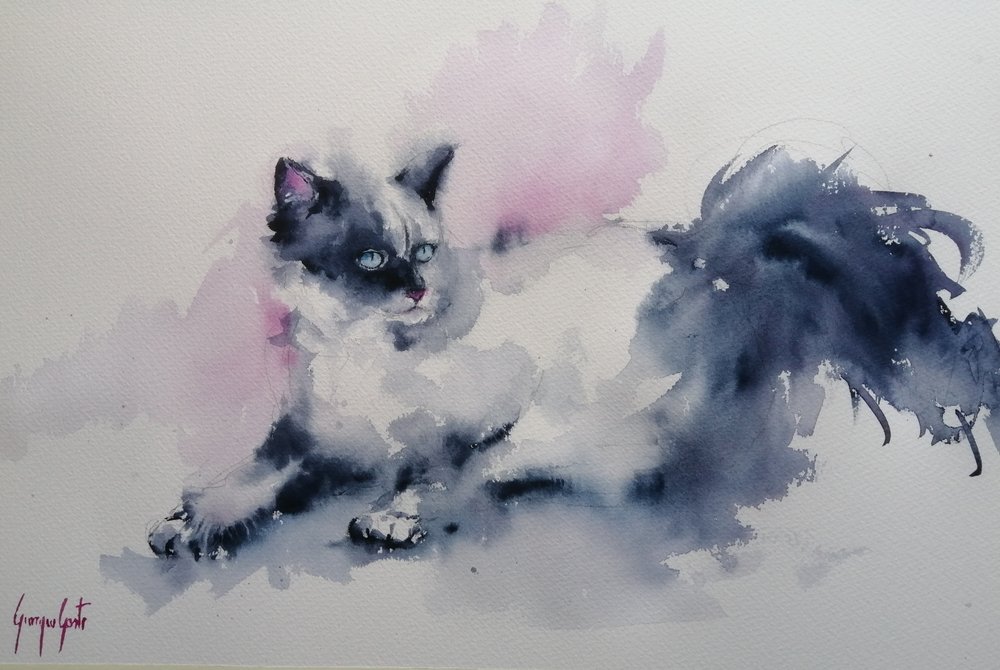 Blauäugige Aquarellkatze von Giorgio Gosti