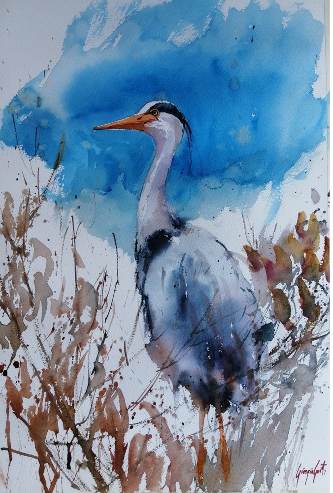 Blauer Reiher Aquarell von Giorgio Gosti