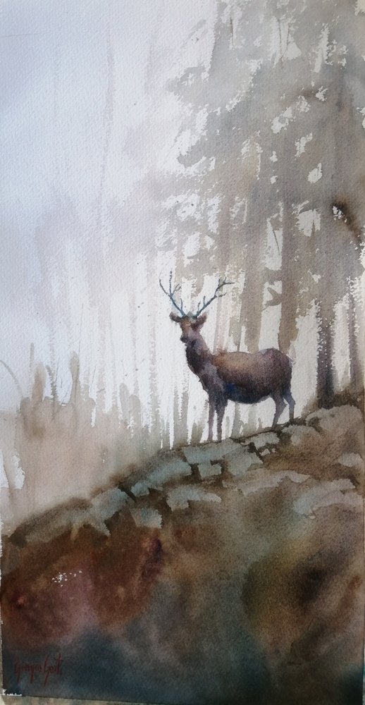Nebliger Waldhirsch von Giorgio Gosti