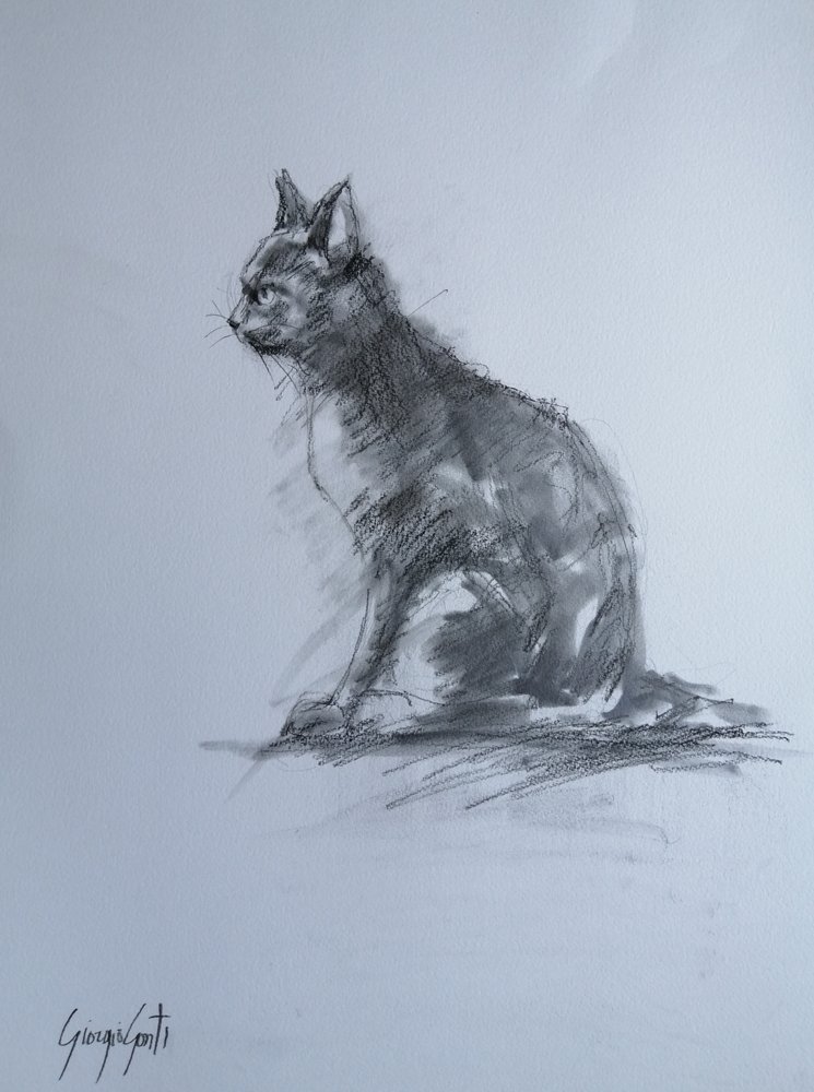 Wachsame Kohlekatze von Giorgio Gosti