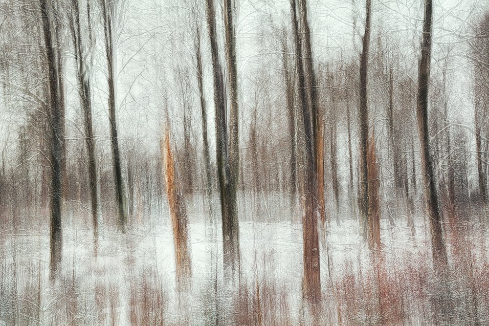 Abstrakter Winterwald von Gustav Davidsson