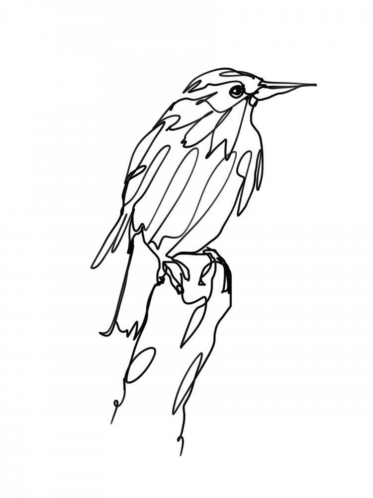 Abstrakter Vogel Linienkunst von Hanna Lee Tidd