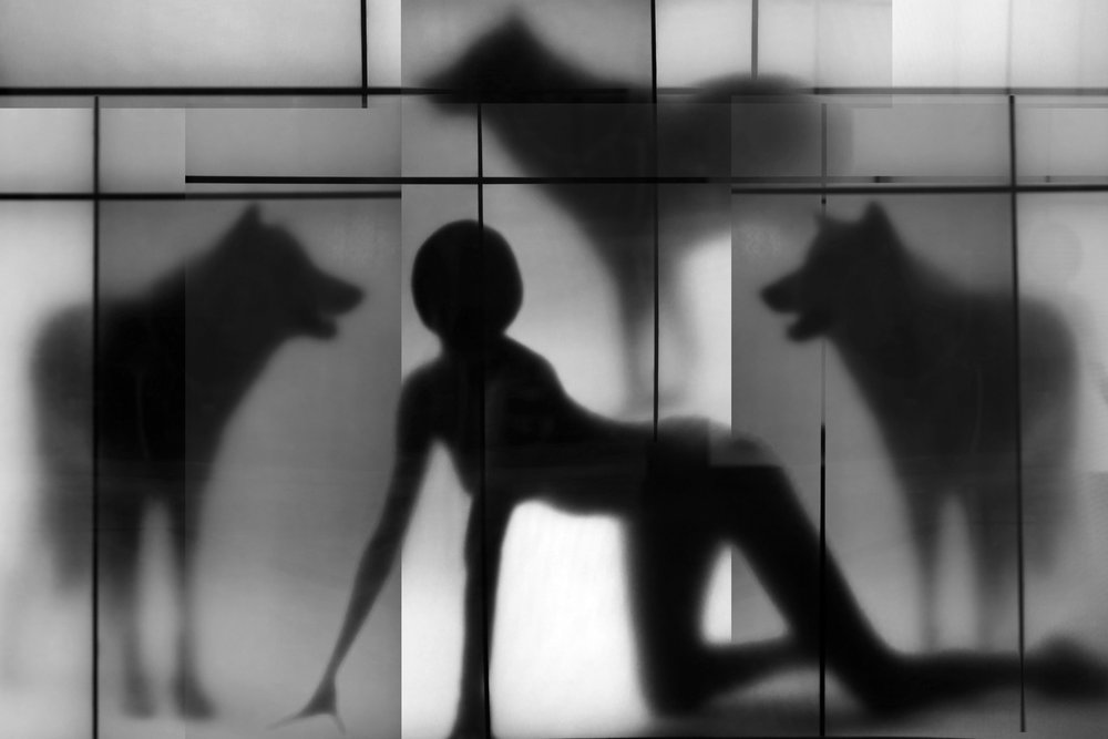 Frau und Wolfsschatten von Igor Shrayer