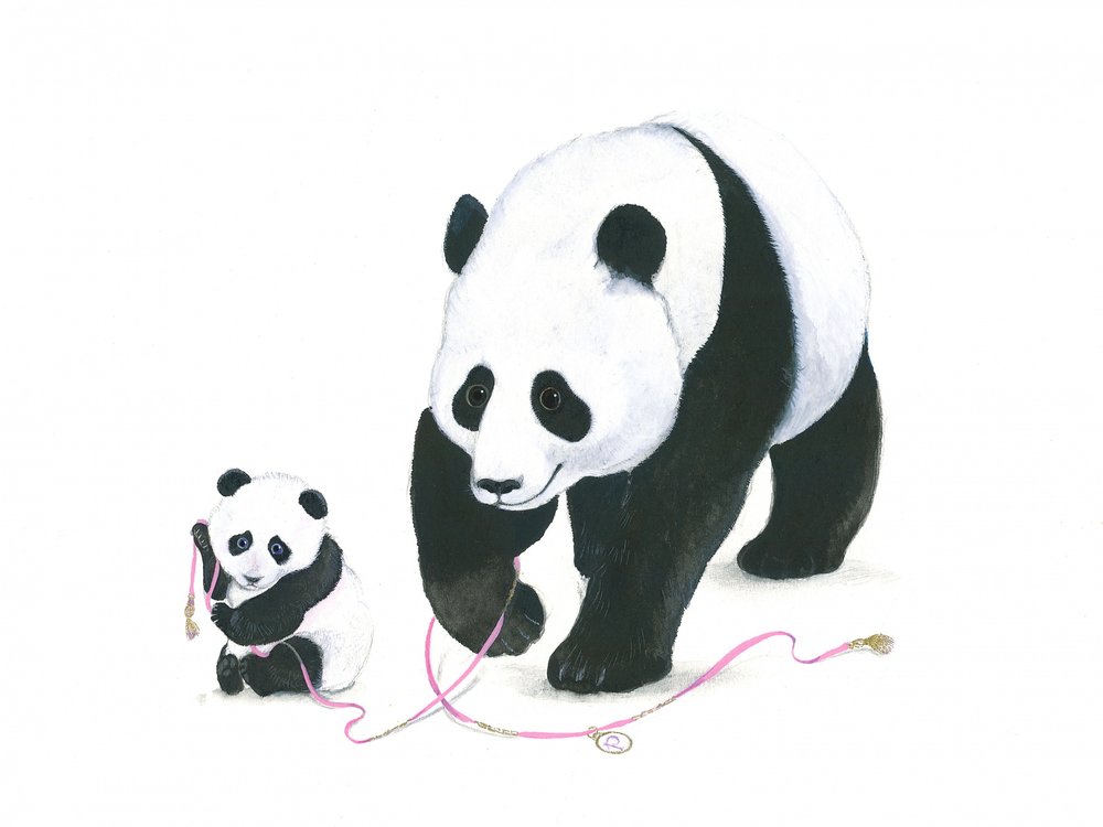 Spielzeit für den Panda von Isabelle Brent