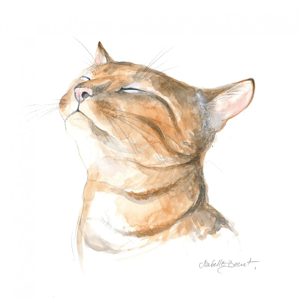 Gelassene getigerte Katze von Isabelle Brent