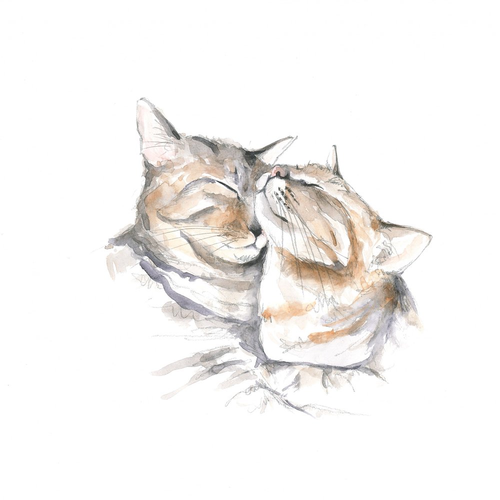 Süß schlafende Katzen von Isabelle Brent