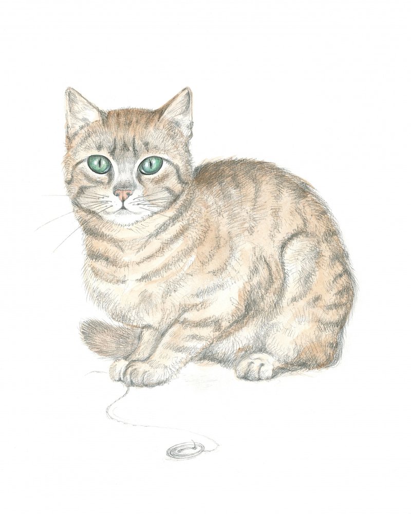 Getigerte Katze und Knopf von Isabelle Brent