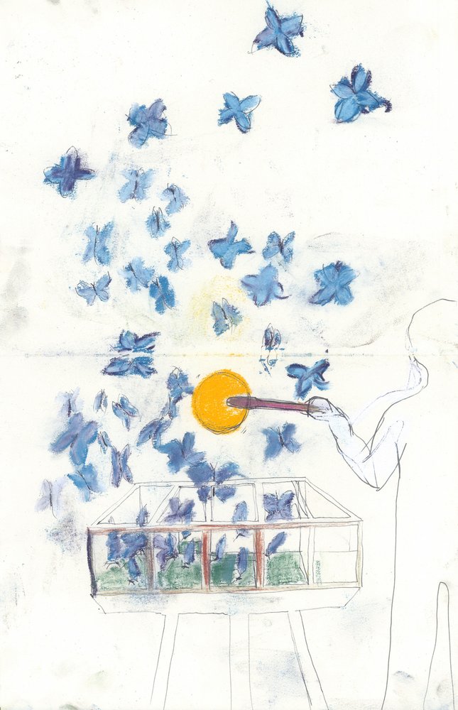 Schmetterlingsträume von Jacqui Orly Ammon