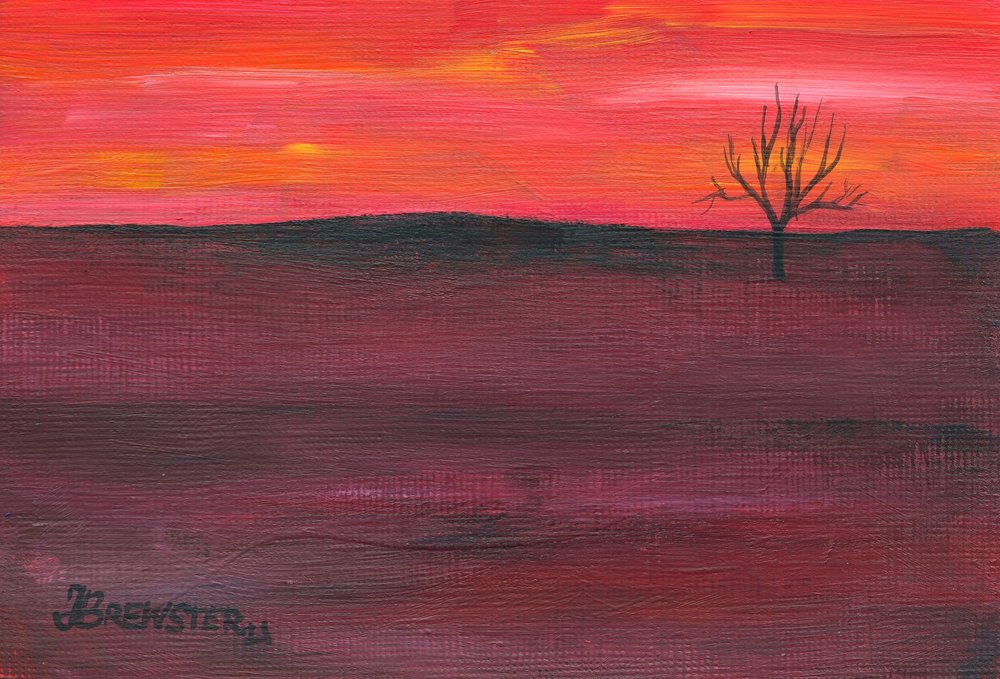 Einsamer Sonnenuntergangsbaum von Janine Brewster