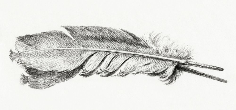Feder von Jean Bernard
