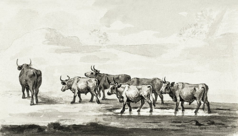 Gruppe von sechs Bullen von Jean Bernard