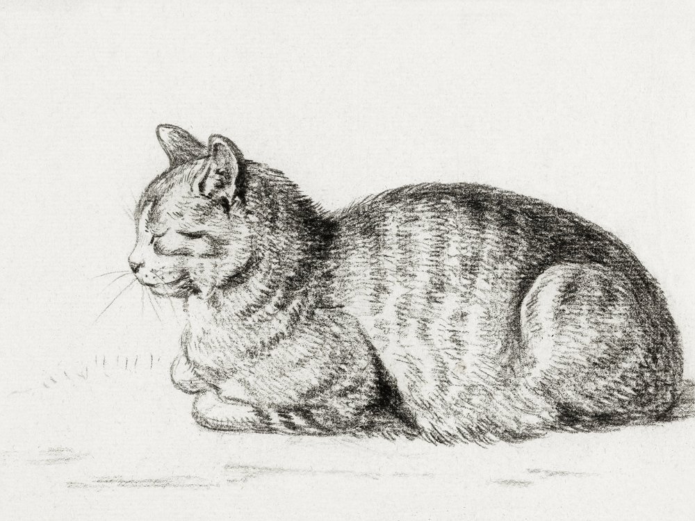 Liegende Katze von Jean Bernard
