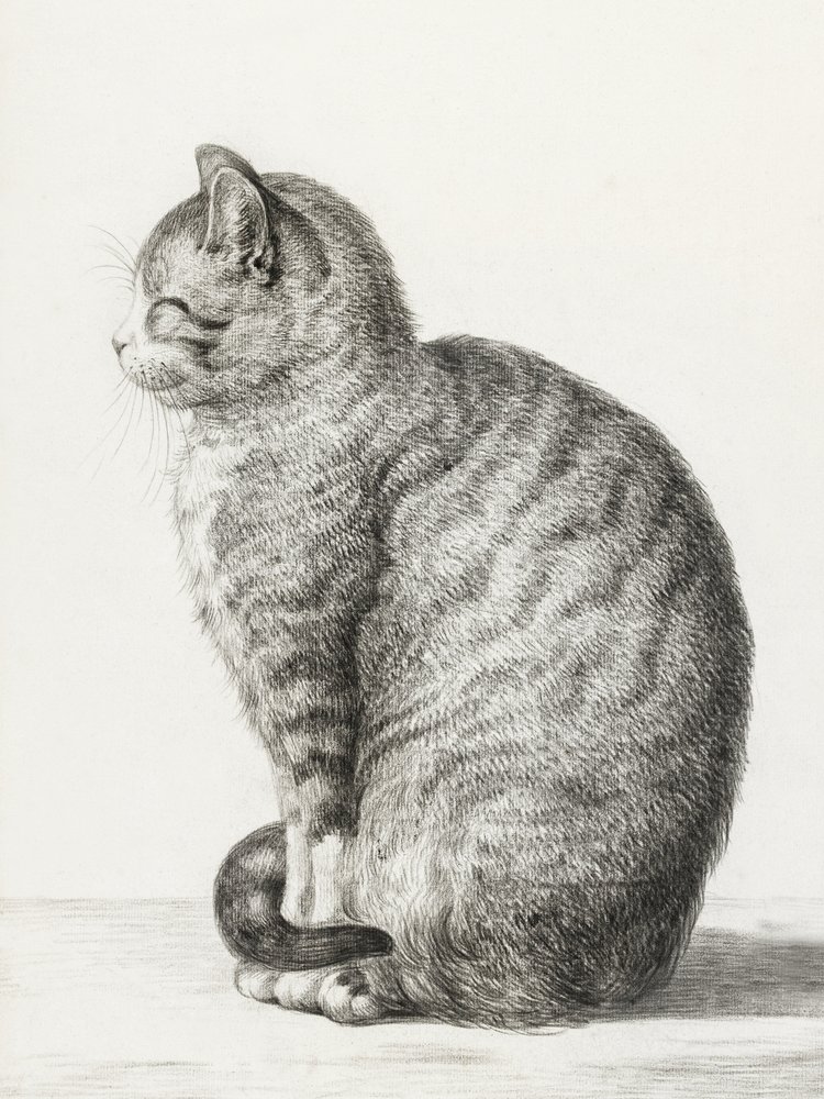 Sitzende Katze von Jean Bernard