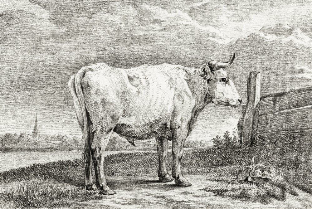 Stehender Stier (1817) von Jean Bernard