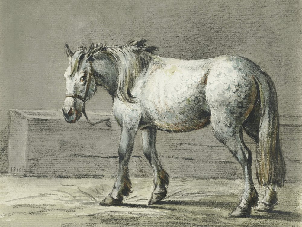 Stehendes Pferd (1810–1816) von Jean Bernard von Jean Bernard