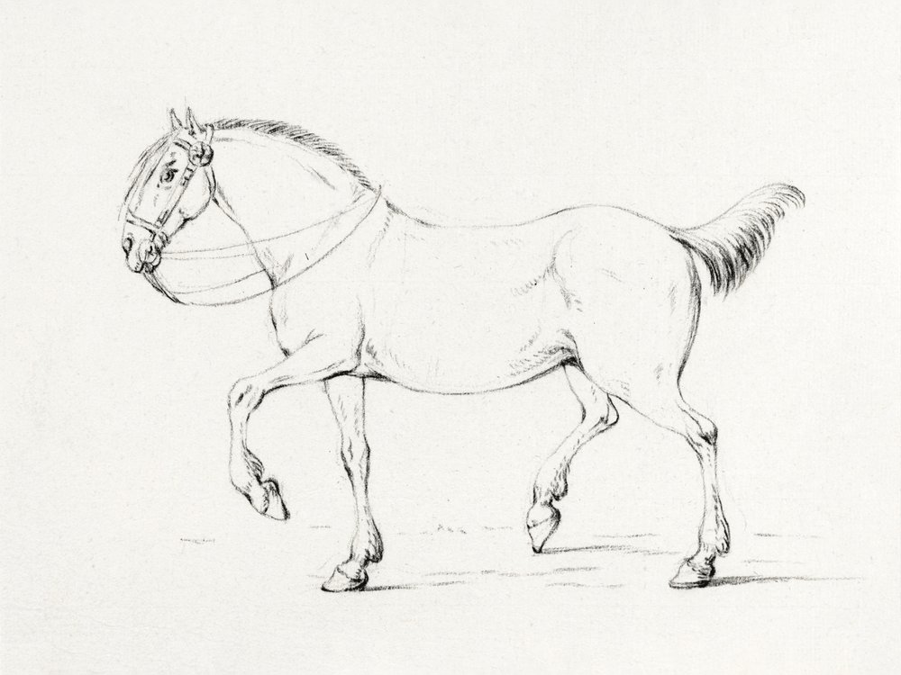 Schreitendes Pferd (1775–1833) von Jean Bernard