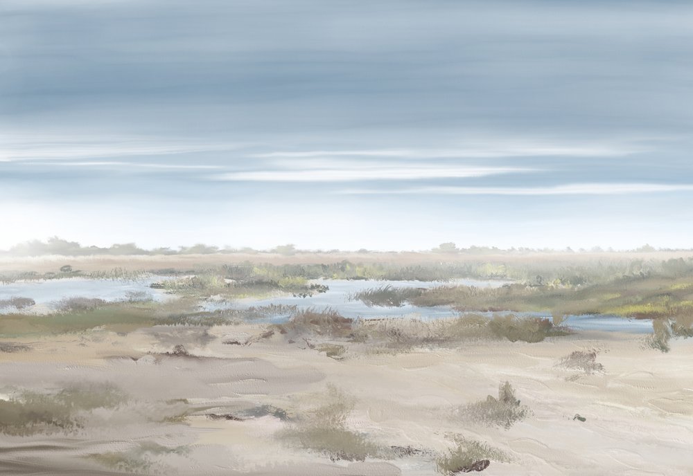 Neblige Feuchtlandschaft von Jenna Alheit