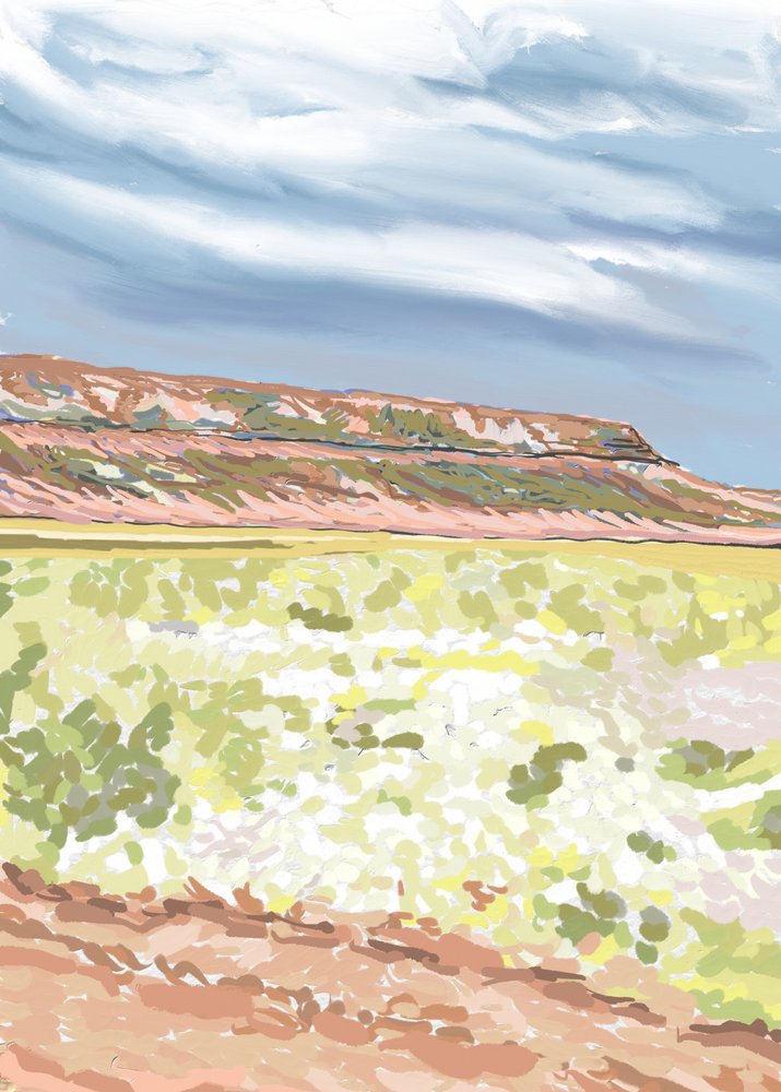 Südwestliche Mesa-Aussicht von Jenna Alheit