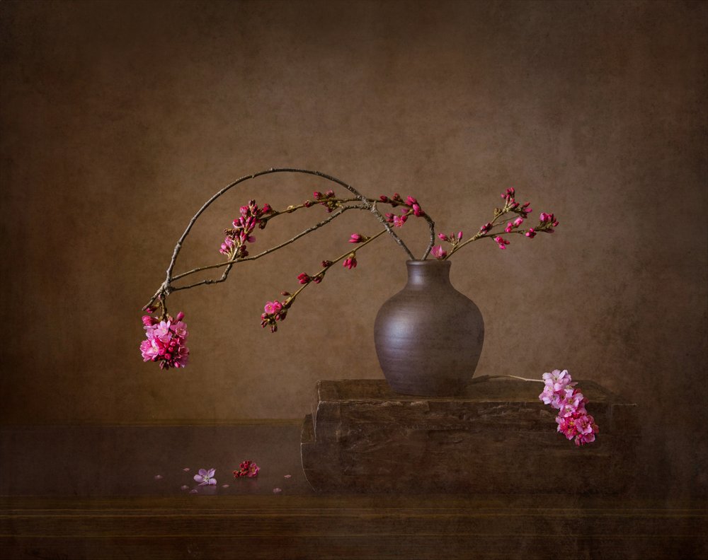 Kirschblüten Stillleben von Joanna W