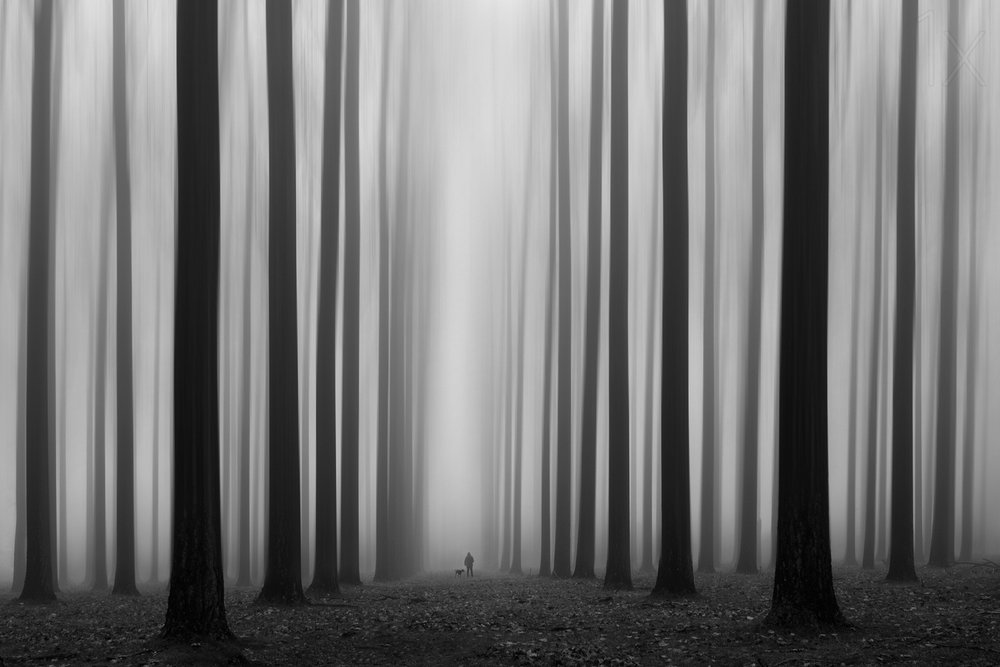 Nebliger Waldweg von Jochen Bongaerts