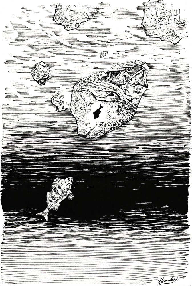Fisch unter Plastik von Johan Liewendahl
