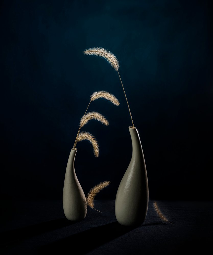 Stimmungsvolle Botanische Vasen von John-Mei Zhong