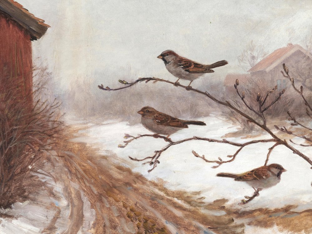 Winter Scheunen Spatzen von Jolly and Dash
